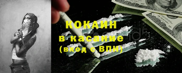 шишки Абинск