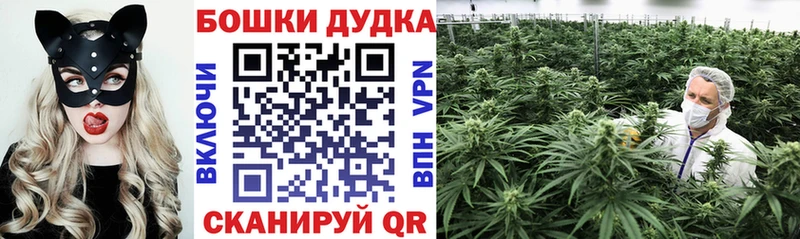 Шишки марихуана семена Берёзовка